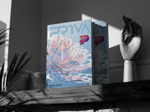 PRIVASIA-Technology-Annual-Report-2024-Malaysia-PRIVA-Financials