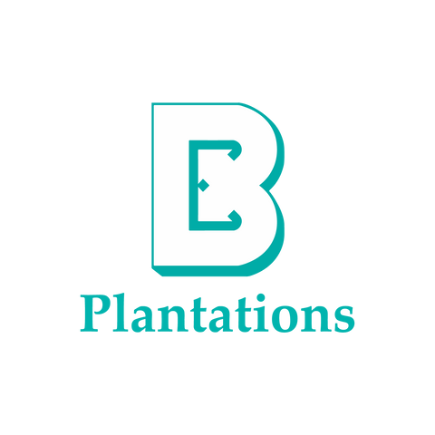 BOUSTEAD PLANTATIONS BERHAD